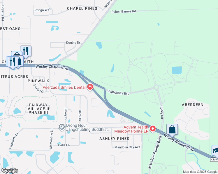 map of restaurants, bars, coffee shops, grocery stores, and more near 31232 Pendleton Landing Circle in Wesley Chapel