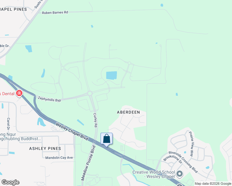 map of restaurants, bars, coffee shops, grocery stores, and more near 5550 Jireh Road in Wesley Chapel