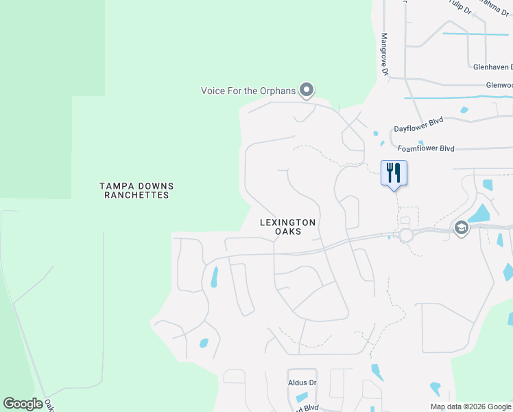 map of restaurants, bars, coffee shops, grocery stores, and more near 5627 Riva Ridge Dr in Wesley Chapel