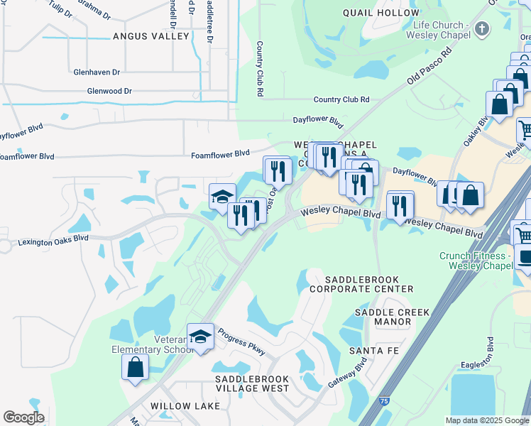 map of restaurants, bars, coffee shops, grocery stores, and more near Post Oak Boulevard in Pasco County