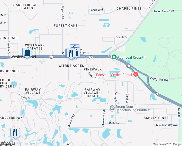 map of restaurants, bars, coffee shops, grocery stores, and more near 5544 Foxtail Court in Wesley Chapel