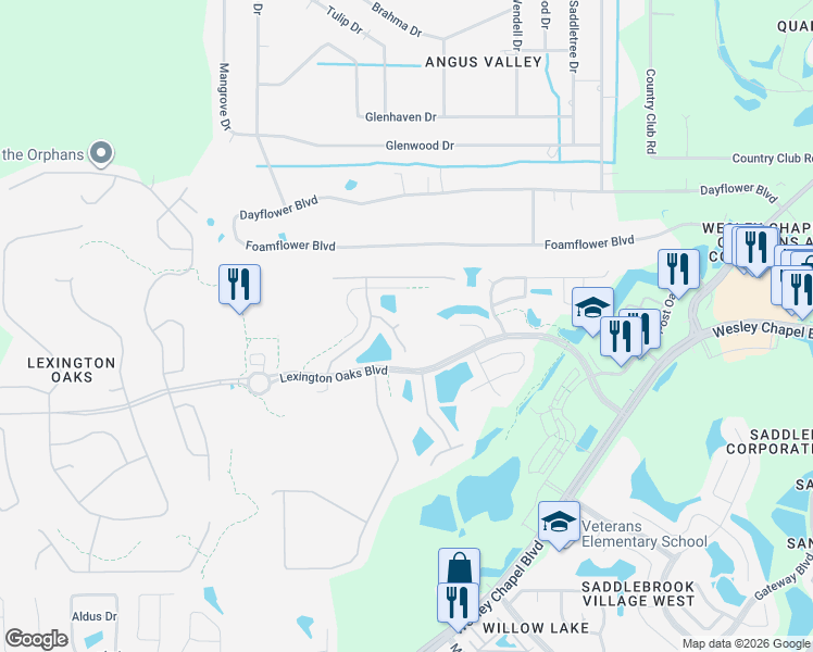 map of restaurants, bars, coffee shops, grocery stores, and more near 5533 Gallant Fox Court in Wesley Chapel