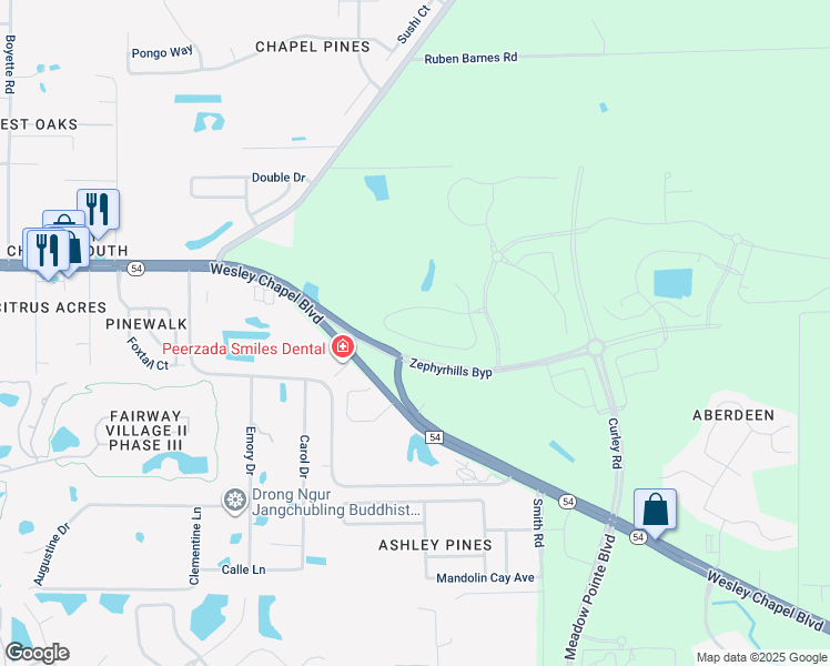 map of restaurants, bars, coffee shops, grocery stores, and more near Highway 54 in Wesley Chapel