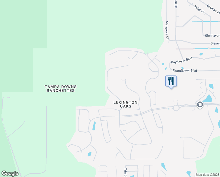 map of restaurants, bars, coffee shops, grocery stores, and more near 5654 Riva Ridge Drive in Wesley Chapel