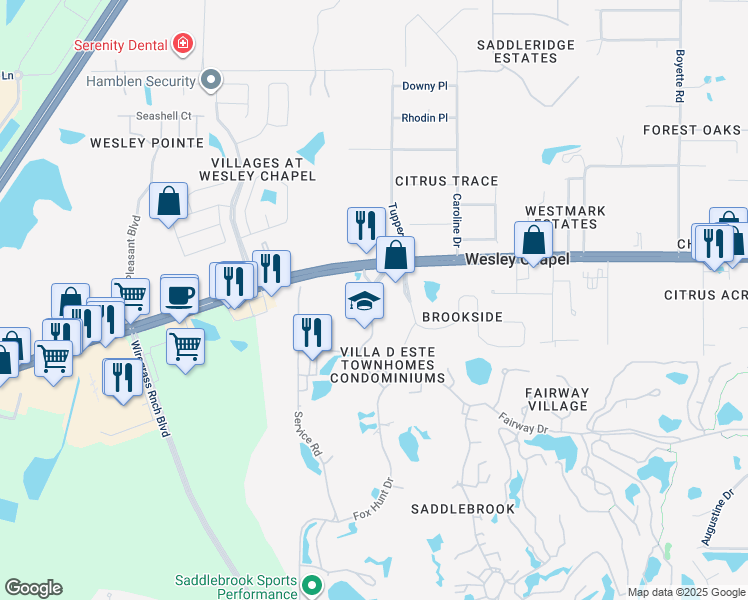 map of restaurants, bars, coffee shops, grocery stores, and more near 29160 Chapel Park Drive in Wesley Chapel