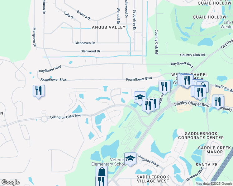 map of restaurants, bars, coffee shops, grocery stores, and more near 26729 Cigar Lane in Wesley Chapel