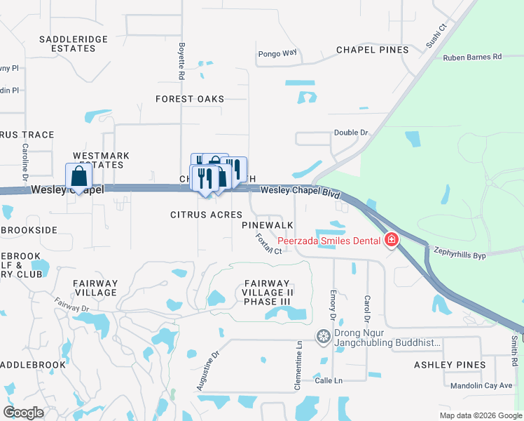 map of restaurants, bars, coffee shops, grocery stores, and more near 5712 Whitebark Drive in Wesley Chapel