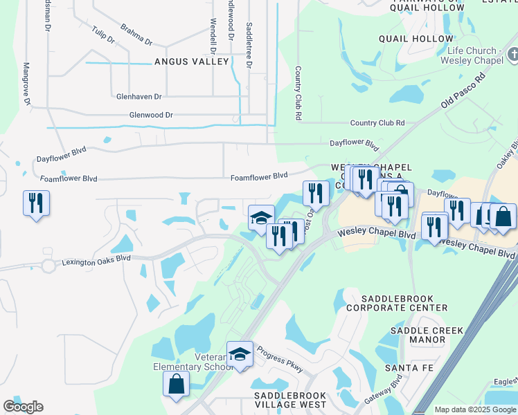map of restaurants, bars, coffee shops, grocery stores, and more near 5539 Grindstone Loop in Wesley Chapel