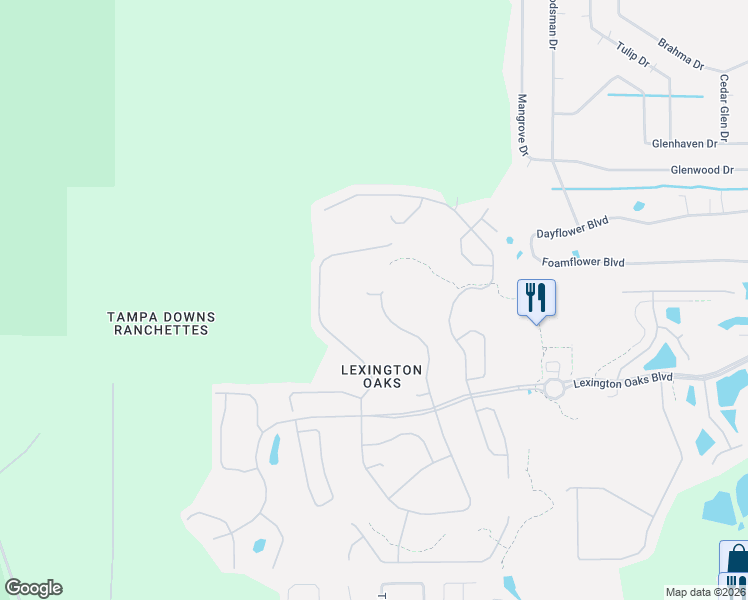 map of restaurants, bars, coffee shops, grocery stores, and more near 5701 Spectacular Bid Drive in Wesley Chapel