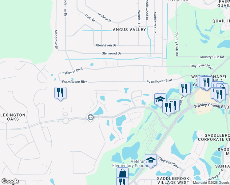 map of restaurants, bars, coffee shops, grocery stores, and more near 26536 Whirlaway Terrace in Wesley Chapel