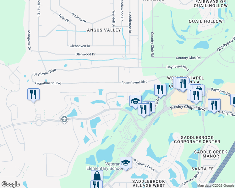 map of restaurants, bars, coffee shops, grocery stores, and more near 26800 Affirmed Drive in Zephyrhills