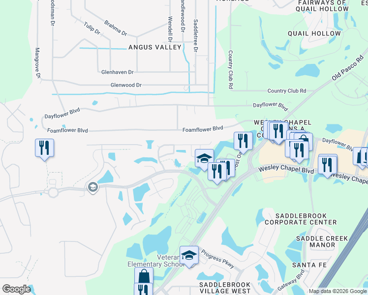 map of restaurants, bars, coffee shops, grocery stores, and more near 26820 Affirmed Drive in Wesley Chapel