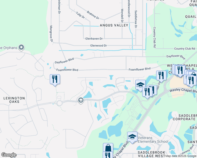 map of restaurants, bars, coffee shops, grocery stores, and more near 26536 Whirlaway Terrace in Zephyrhills