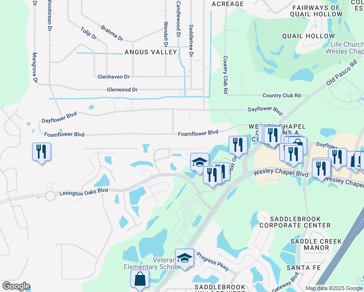 map of restaurants, bars, coffee shops, grocery stores, and more near 26829 Affirmed Drive in Wesley Chapel
