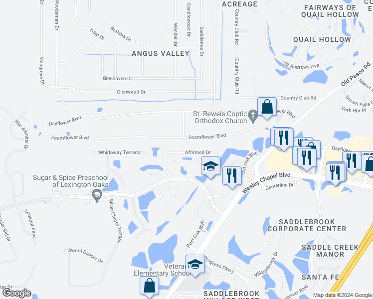 map of restaurants, bars, coffee shops, grocery stores, and more near 26813 Affirmed Drive in Wesley Chapel