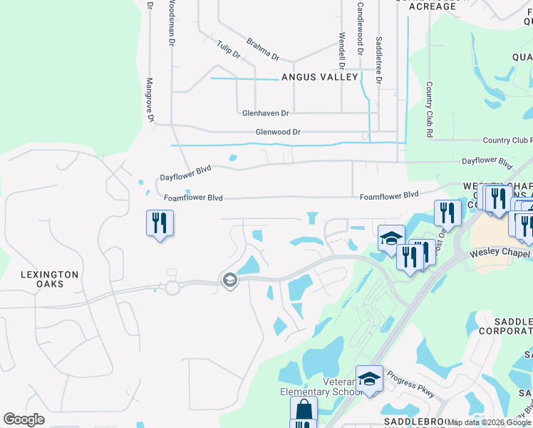 map of restaurants, bars, coffee shops, grocery stores, and more near 26451 Whirlaway Terrace in Wesley Chapel