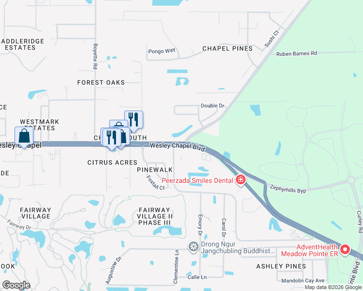 map of restaurants, bars, coffee shops, grocery stores, and more near State Route 54 & Curley Rd in Wesley Chapel South