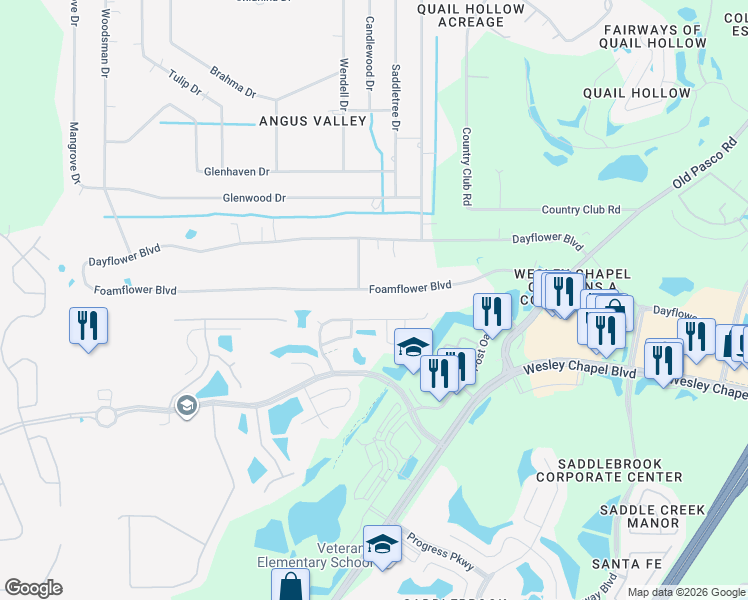map of restaurants, bars, coffee shops, grocery stores, and more near 26822 Foamflower Boulevard in Zephyrhills