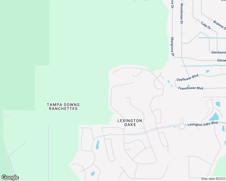 map of restaurants, bars, coffee shops, grocery stores, and more near 5812 Riva Ridge Drive in Wesley Chapel