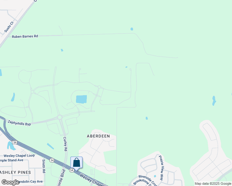 map of restaurants, bars, coffee shops, grocery stores, and more near 5826 Billmar Road in Wesley Chapel
