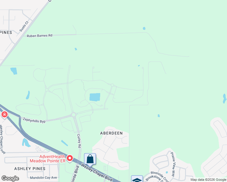 map of restaurants, bars, coffee shops, grocery stores, and more near 5828 Timberdale Avenue in Wesley Chapel