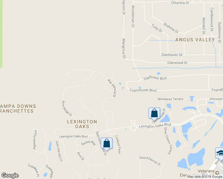 map of restaurants, bars, coffee shops, grocery stores, and more near 25929 Commendable Loop in Wesley Chapel