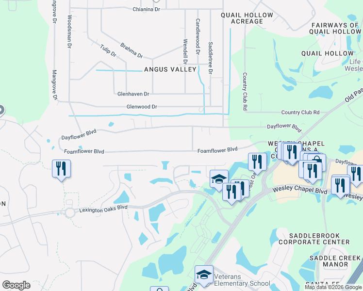 map of restaurants, bars, coffee shops, grocery stores, and more near 26723 Foamflower Boulevard in Zephyrhills