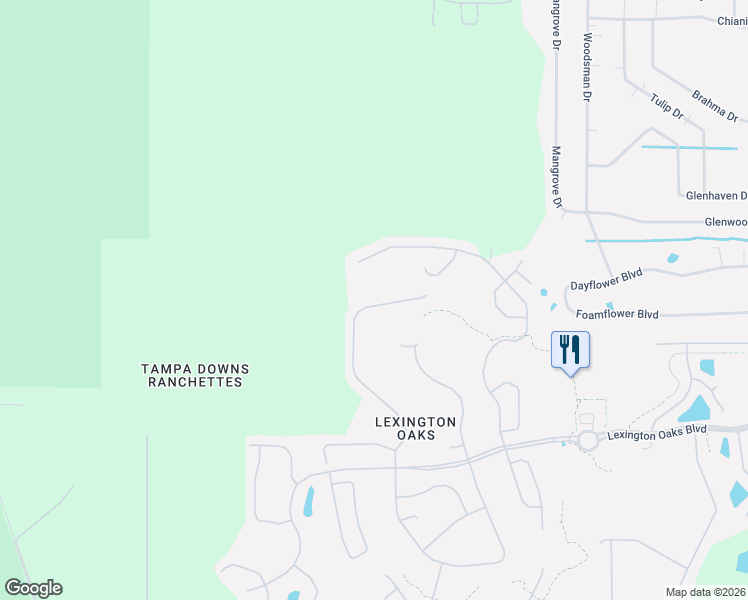 map of restaurants, bars, coffee shops, grocery stores, and more near 5849 Riva Ridge Drive in Wesley Chapel
