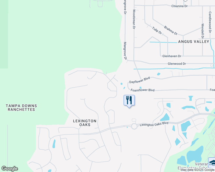 map of restaurants, bars, coffee shops, grocery stores, and more near 25853 Commendable Loop in Wesley Chapel