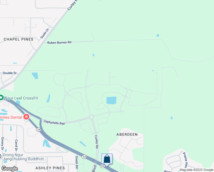 map of restaurants, bars, coffee shops, grocery stores, and more near Jireh Road in Wesley Chapel
