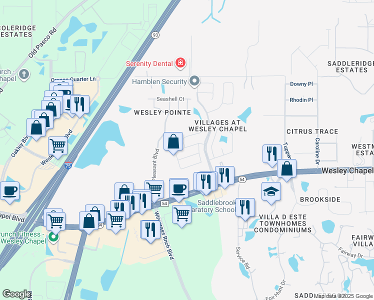 map of restaurants, bars, coffee shops, grocery stores, and more near 28734 Raleigh Place in Wesley Chapel