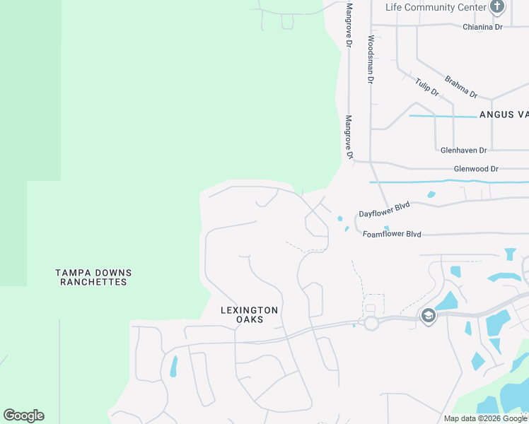 map of restaurants, bars, coffee shops, grocery stores, and more near 5856 Count Turf Lane in Wesley Chapel
