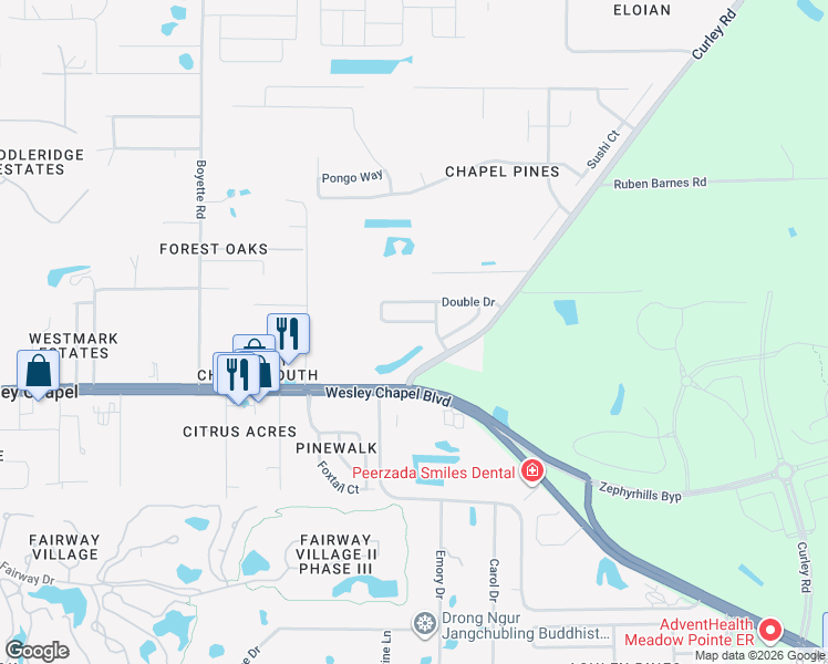 map of restaurants, bars, coffee shops, grocery stores, and more near 30222 Double Drive in Wesley Chapel