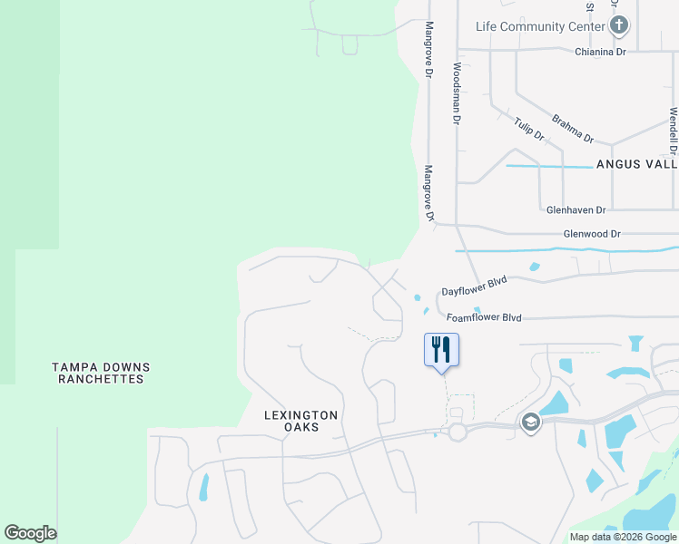 map of restaurants, bars, coffee shops, grocery stores, and more near 5920 Count Turf Lane in Wesley Chapel