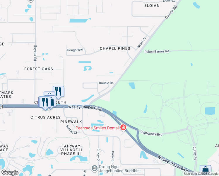 map of restaurants, bars, coffee shops, grocery stores, and more near 5936 Lake Front Drive in Wesley Chapel