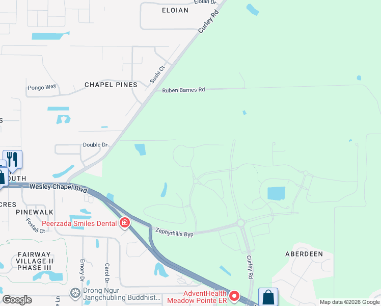 map of restaurants, bars, coffee shops, grocery stores, and more near 5909 Riverston Avenue in Wesley Chapel