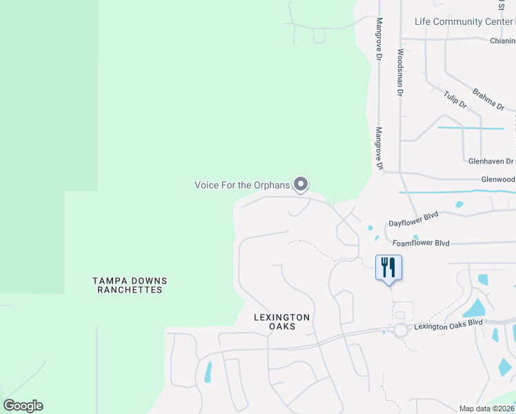 map of restaurants, bars, coffee shops, grocery stores, and more near 5932 War Admiral Drive in Wesley Chapel