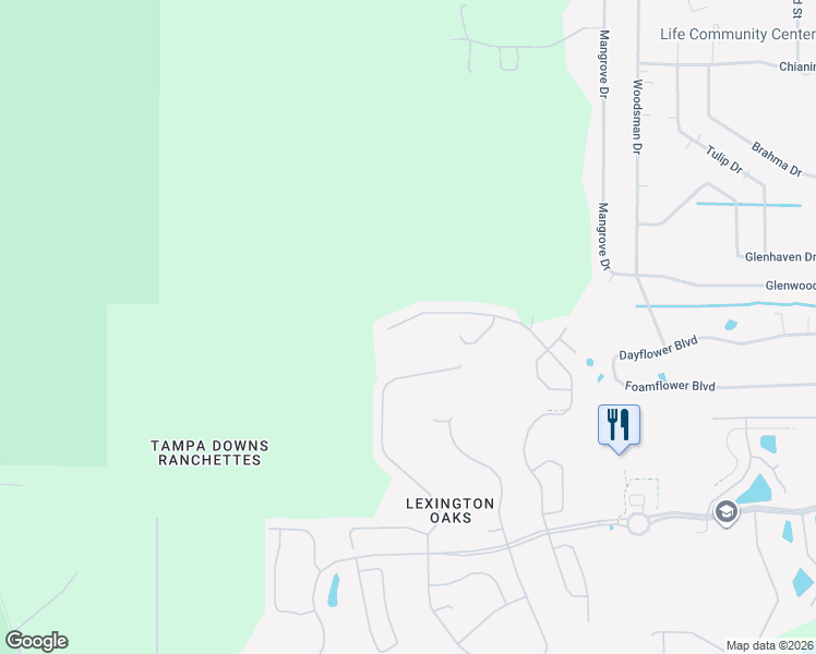 map of restaurants, bars, coffee shops, grocery stores, and more near 5923 War Admiral Drive in Wesley Chapel