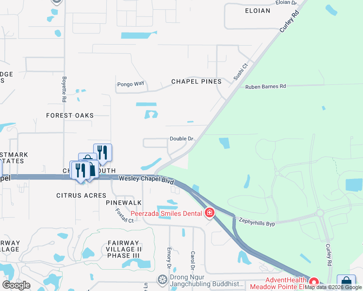 map of restaurants, bars, coffee shops, grocery stores, and more near 5929 Lake Front Drive in Wesley Chapel