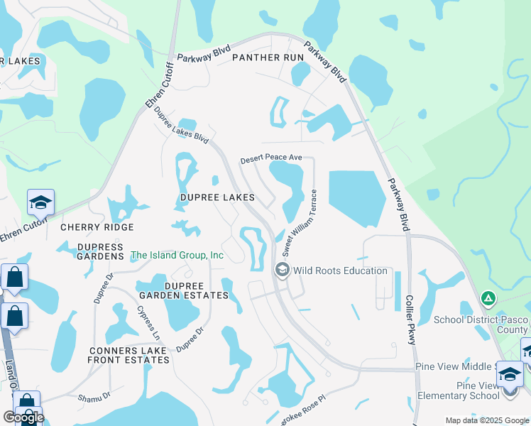 map of restaurants, bars, coffee shops, grocery stores, and more near 5927 Desert Peace Avenue in Land O' Lakes