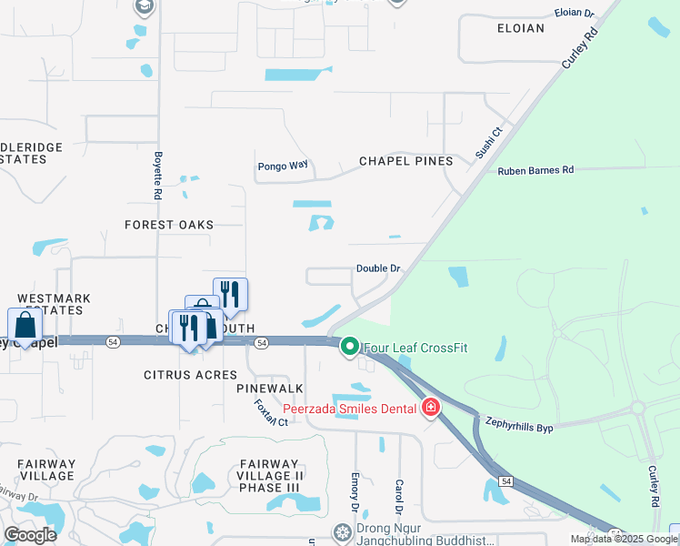 map of restaurants, bars, coffee shops, grocery stores, and more near 30509 Double Drive in Wesley Chapel