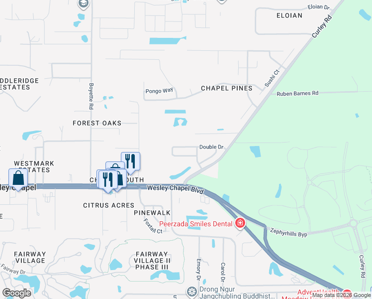 map of restaurants, bars, coffee shops, grocery stores, and more near 30451 Double Drive in Wesley Chapel