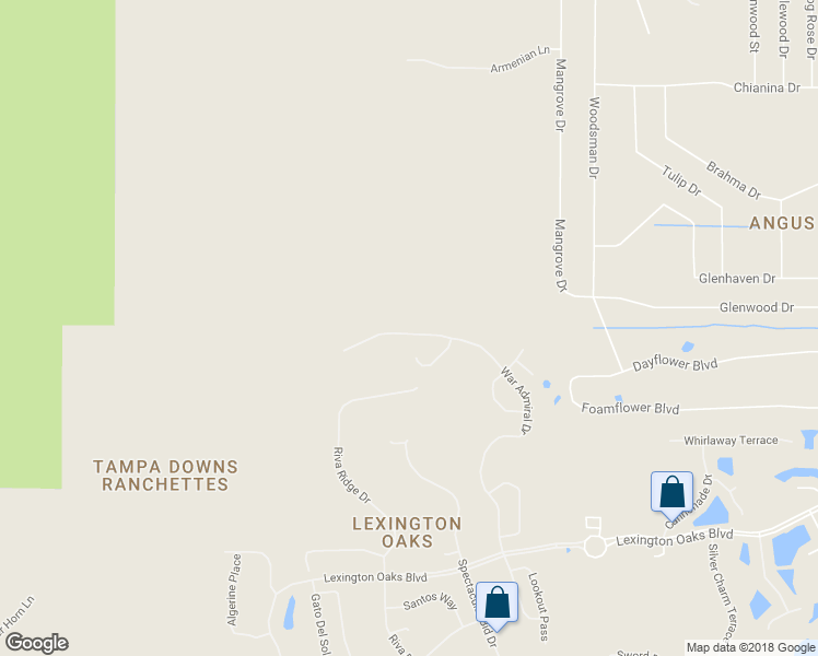 map of restaurants, bars, coffee shops, grocery stores, and more near 5900 War Admiral Drive in Wesley Chapel