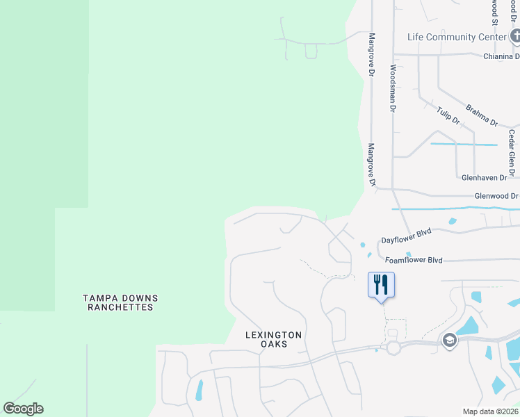 map of restaurants, bars, coffee shops, grocery stores, and more near 5914 War Admiral Drive in Wesley Chapel