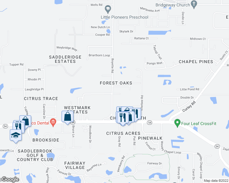 map of restaurants, bars, coffee shops, grocery stores, and more near 6010 Boyette Road in Wesley Chapel