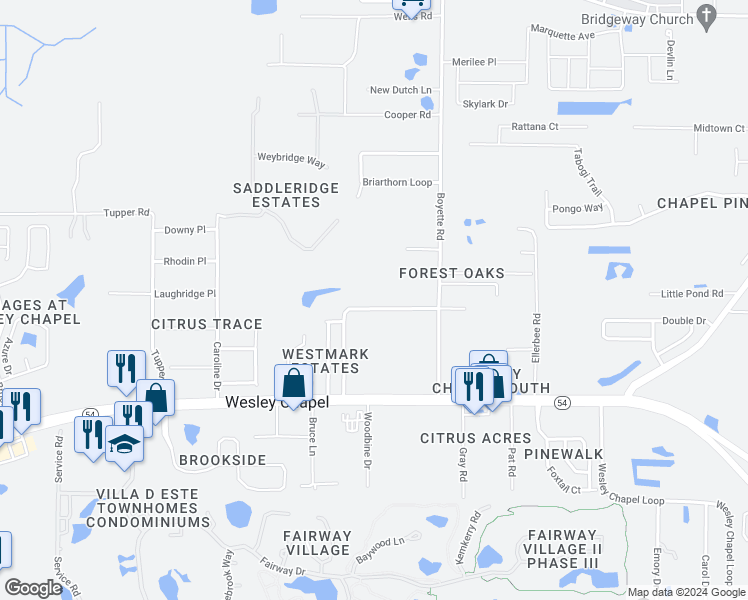 map of restaurants, bars, coffee shops, grocery stores, and more near 6013 Boyette Road in Wesley Chapel