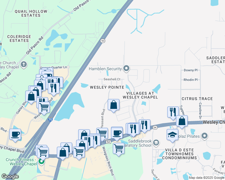 map of restaurants, bars, coffee shops, grocery stores, and more near 6036 Pointe Pleasant Boulevard in Wesley Chapel