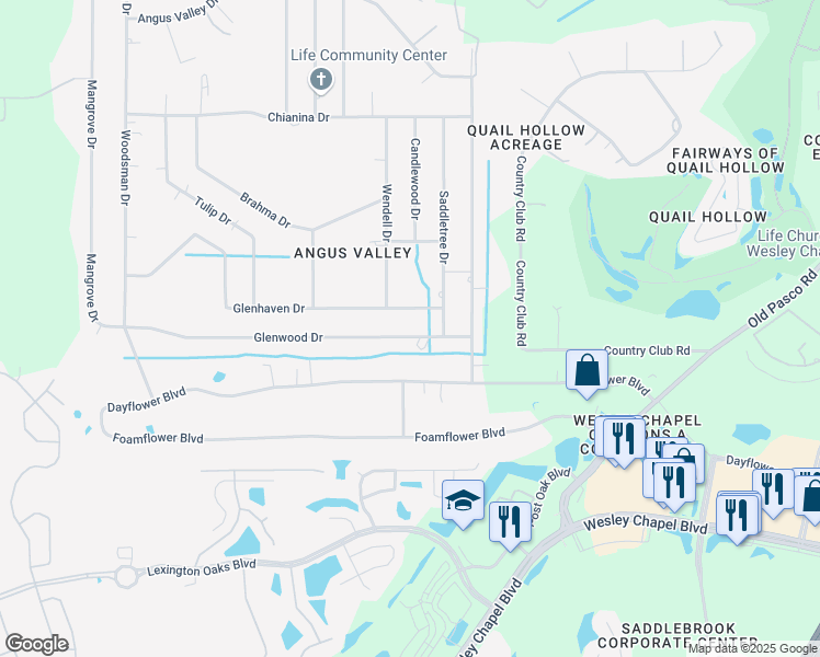 map of restaurants, bars, coffee shops, grocery stores, and more near 26807 Glenwood Drive in Zephyrhills