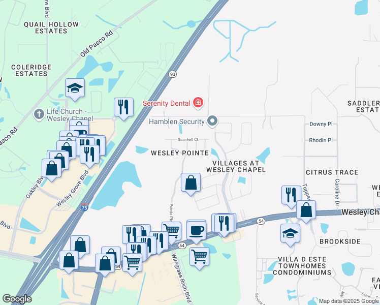 map of restaurants, bars, coffee shops, grocery stores, and more near 6036 Pointe Pleasant Boulevard in Wesley Chapel