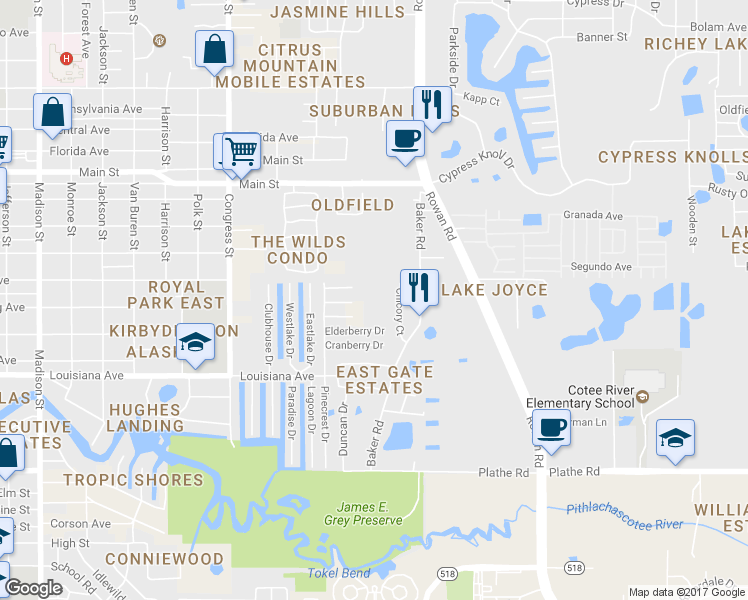 map of restaurants, bars, coffee shops, grocery stores, and more near 6834 Ferret Lane in New Port Richey